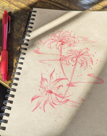 Red Spider ballpoint pen